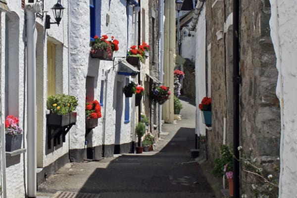 The Warren, Polperro